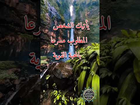 آية من سورة يس تجلب لك أي شخص مسرعا اكسبلور