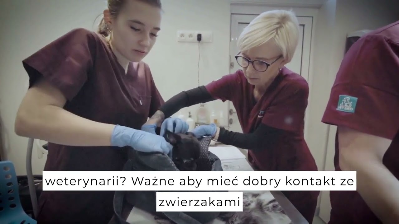 Zawodowy Przegląd - Technik Weterynarii