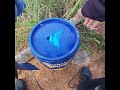 Casting ikan gabus di spot semak belukar #mancing #fishing