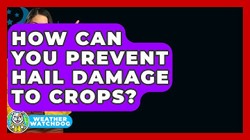 How Can You Prevent Hail Damage To Crops? - Weather Watchdog