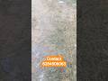 8 marla North East facing clean plot sec 89 Mohali #plotdevelopment