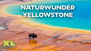 Yellowstone: Der schönste Nationalpark unserer Erde? | XL Naturdoku