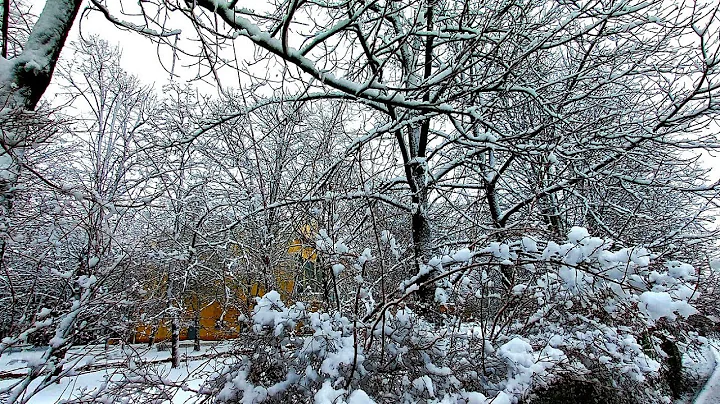 Краснодар заваливает снегом! 18 января 2022г.