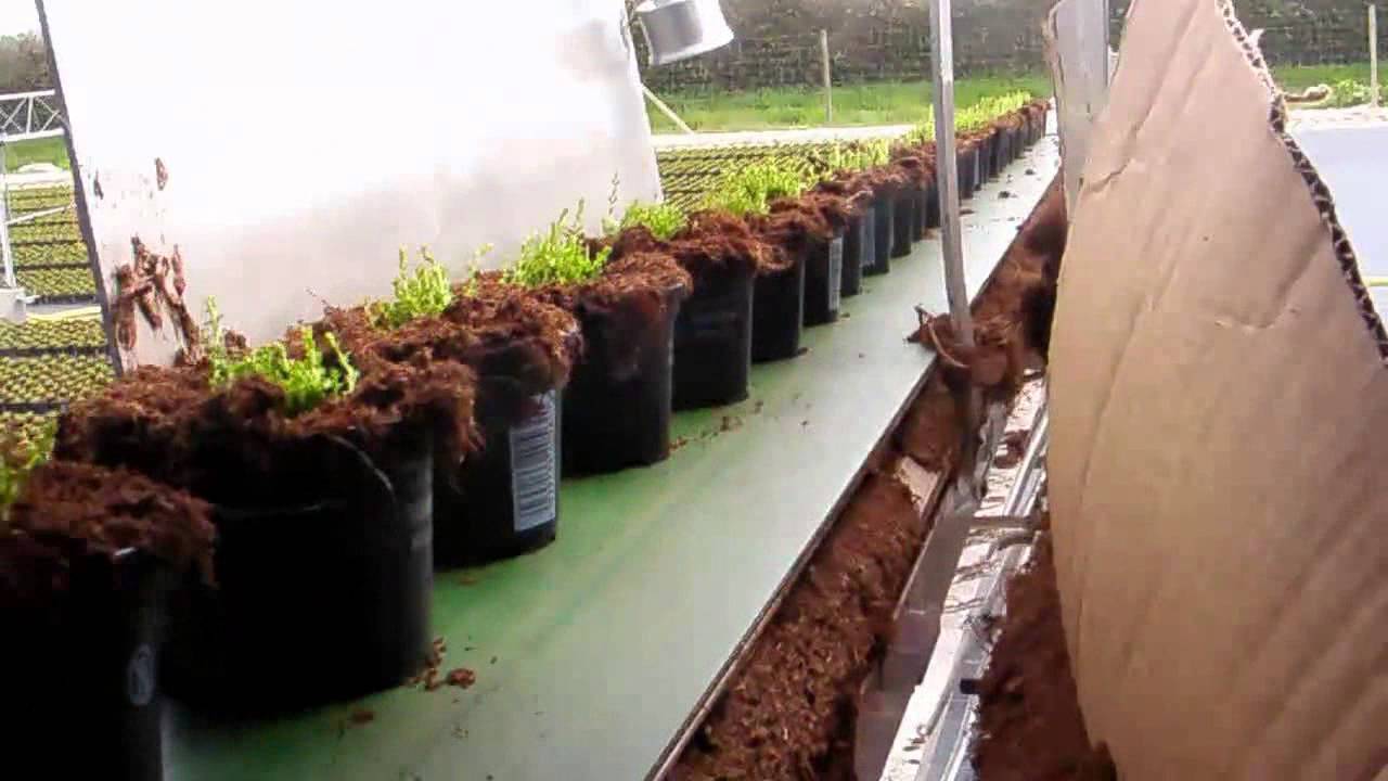 Mayer Topfmaschine TM 1010 F 05 / potting machine TM 1010 F