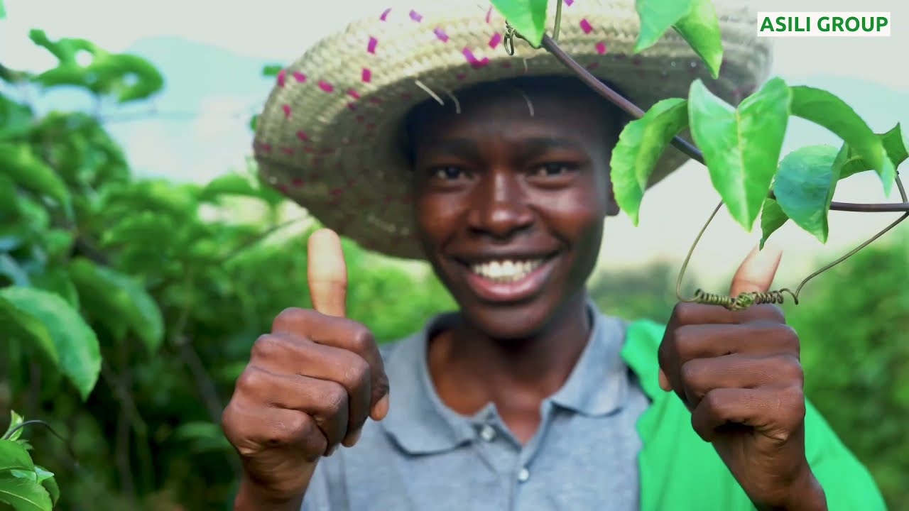 Uzalishaji wa zao la passion Shambani  kitaalamu ni rahisi , mavuno makubwa
