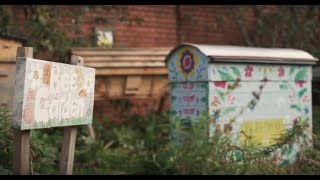 Bee The Change Project