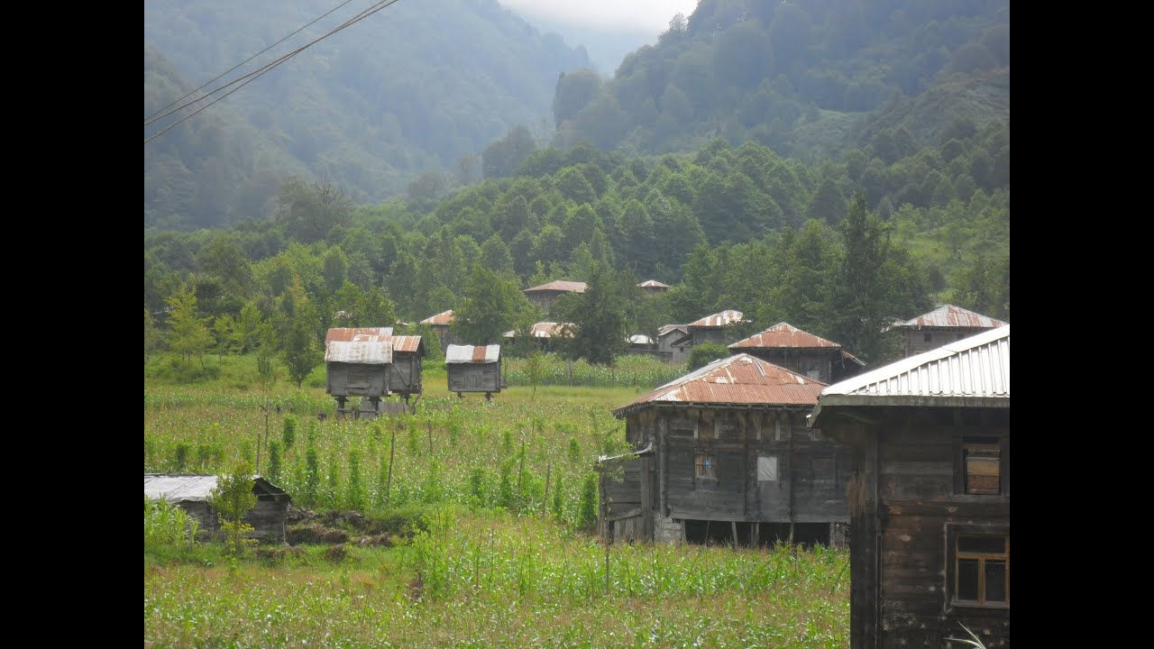 Dere Mezra (Oğvare)