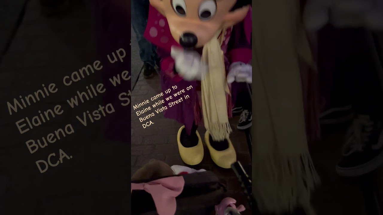 💕Love Minnie Mouse 