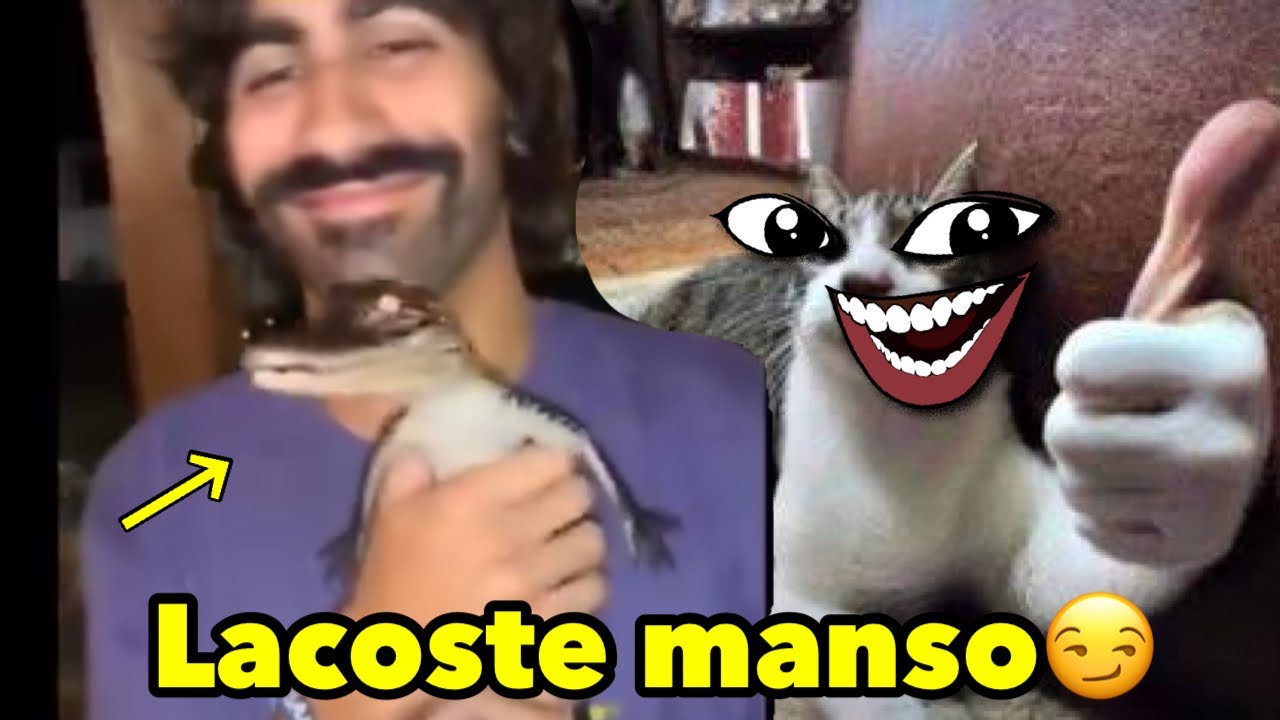 MEMES ANIMAIS - ELE NÃO ESPERAVA POR ISSO KKKKK