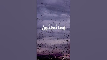 #قران_كريم #قرآن #تلاوات #تلاوة #تلاوة_خاشعة #سورة #ياسر_الدوسري
