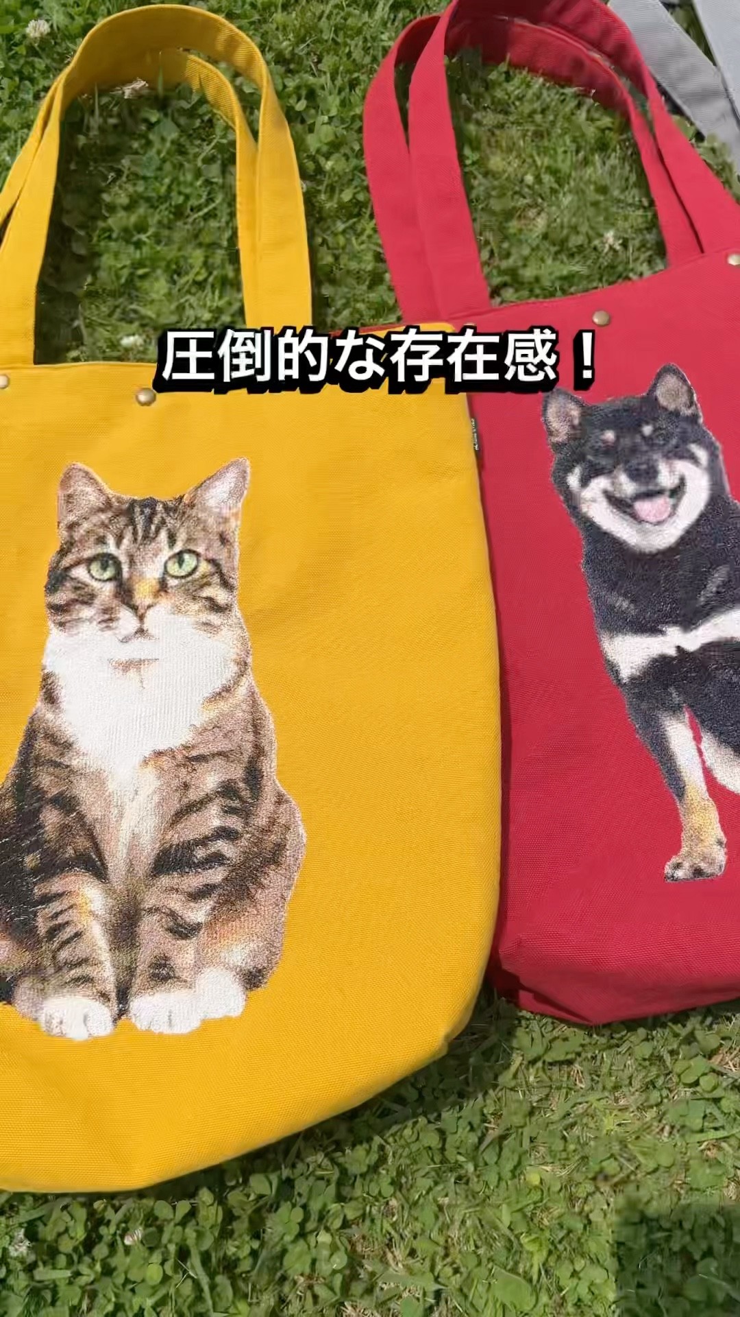 リトルワンズ【ペット写真から作る刺繍】 - YouTube