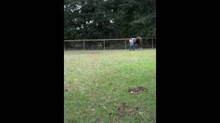 LBLegStretch0810201601 VID 20160810 112301 149