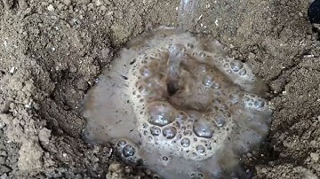 Soil digging 🩵🤍💦#asmr #satisfying #beautifulworld #love #viral #reel#diy #asmrcommunity #asmrsounds 