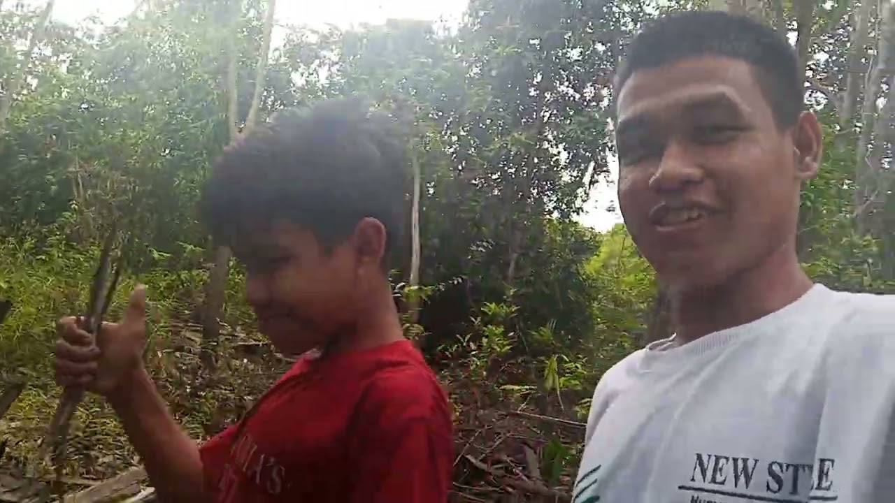 SUASANA DI HUTAN DESA MAHAJANDAU KABUPATEN BERITO SELATAN TAHUN2026