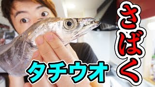 タチウオを捌いて食べてみるぞー！