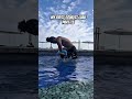 My first TOURIST LUAU PART 13