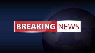 Imposter Tattooma Sato Spotted Toecar