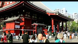 Nardio And Bigstarofficial Are Useless Trash