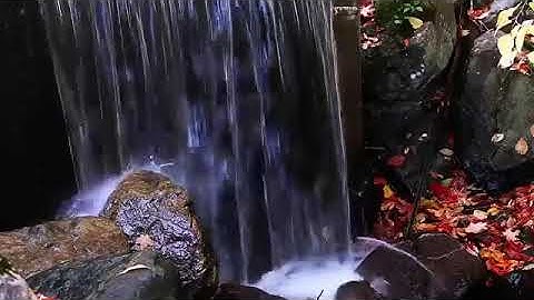 سورة الشعراء 105-122 بصوت الشيخ محمود مبيض