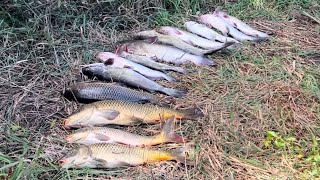 видео: УТРЕННИЙ🎣УЛОВ👍В КОРЯЖНИКЕ!КАРПЫ САЗАНЫ,СОМЫ под СЕВЕРНЫЙ ВЕТЕР! #подпишись #like #интересно #рыбалка картинка: УТРЕННИЙ🎣УЛОВ👍В КОРЯЖНИКЕ!КАРПЫ САЗАНЫ,СОМЫ под СЕВЕРНЫЙ ВЕТЕР! #подпишись #like #интересно #рыбалка