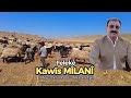 Kawis Milani Felekē Dengbeji Yürek Sızlatan Dertli Uzun Hava 