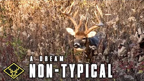180" DREAM Non-Typical | 29 acres + WORLD CLASS Whitetail...