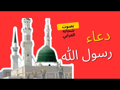 خير ما نبدأ به يومنا دعاء الصباح من أدعية النبي ﷺ بصوت شحاته العرابي