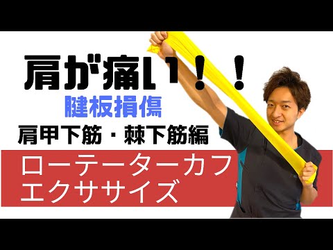 【肩が痛い】腱板損傷！ローテーターカフエクササイズ（棘下筋・肩甲下筋編） 整体院 尚〜NAO〜