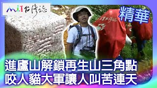進廬山解鎖再生山三角點 咬人貓大軍讓人叫苦連天|南投縣仁愛鄉 麥覺明【 @ctvmit 686集】
