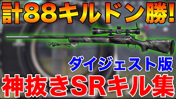 神業スナイパーpuｂg