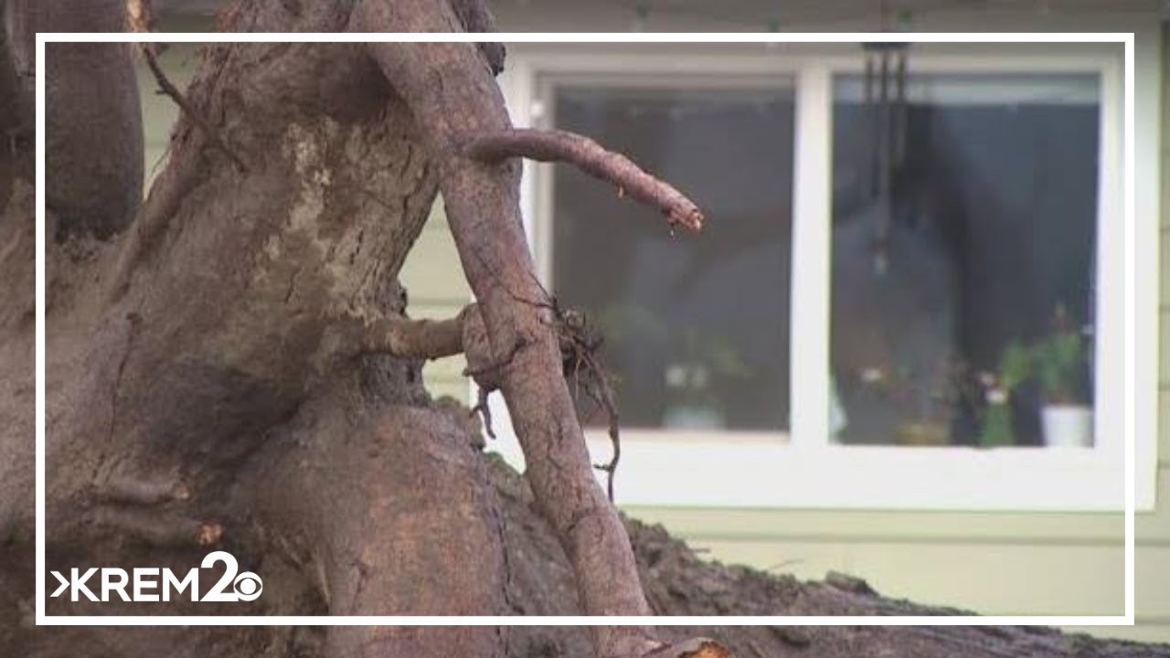 Storm damage impacts Leavenworth, Washington