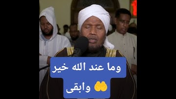 من سورة القصص | فجرية ماتعة ✨ الشيخ عبدالرشيد صوفي #نقاء_استديو #اكسبلور