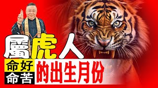 屬虎人命裡最苦的出生月份 屬虎命好和命苦出生月份【佛語】#運勢 #風水 #佛教 #生肖 #佛語