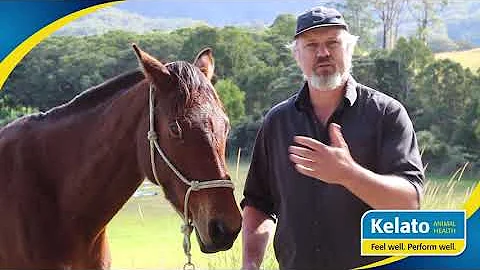 Strategies to combat ESGD and EGGD with A/Prof Dr Ben Sykes (Episode One)