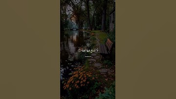 ﴿فِي جَنَّةٍ عَالِيَةٍ﴾ تلاوة تأسر القلب بصوت خاشع #قرآن #تلاوة_خاشعة #عبدالرحمن_مسعد