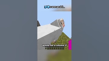 i made the minecraft world into one chunk...