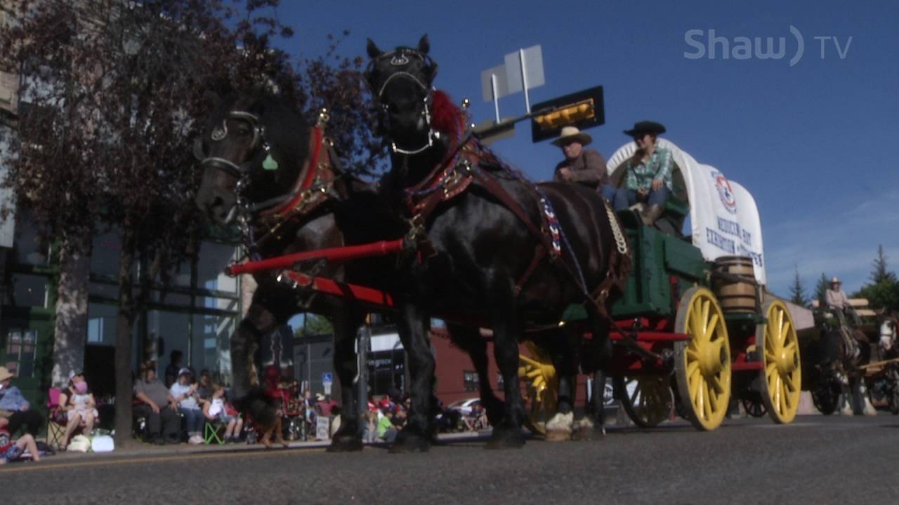 2016 Medicine Hat Stampede Parade YouTube 2016 Medicine Hat Stampede Parade YouTube