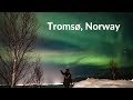 Hondensledetocht roadtrippen en het noorderlicht zien in troms noorwegen  map of joy