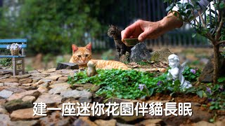 Create a mini garden to accompany your cat to sleep underground by 西樹 Xishu&Cats 2,309 views 3 months ago 3 minutes, 20 seconds