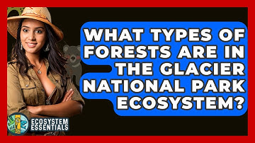 What Types Of Forests Are In The Glacier National Park Ecosystem? - Ecosystem Essentials