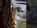 Christmas, Toys, and more.