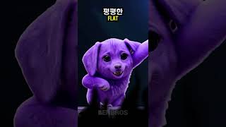 매끈매끈하다 매끈매끈한
#매끈매끈하다 #푱푱하다 #dance 매끈매끈하다 매끈매끈한