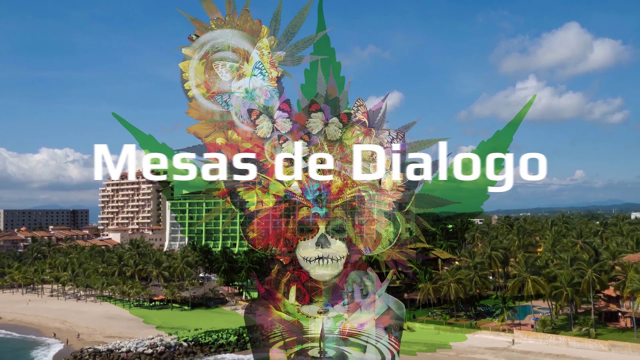 Mayan Haze Presentacion