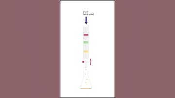 How does column chromatography work?