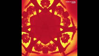 Boards of Canada - Energy Warning