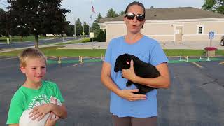 Rabbit hoppers ready for Manitowoc County Fair