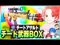わんぱくパレットで最強のチート武器が使えるボックスファイトでバレずに使ってボコした結果…www【フォートナイト】