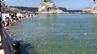 20190503 Jodogahama Beach Part 12