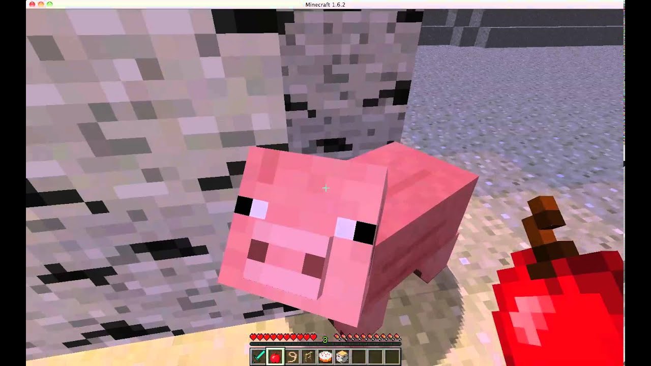 minecraft the wrong way to tame a pig - YouTube
