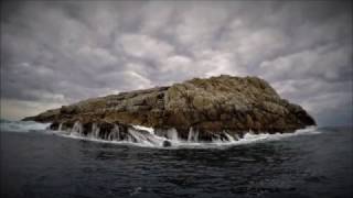 AWESOME SHARK & CAVE DIVE (Fish Rock, South West Australia)